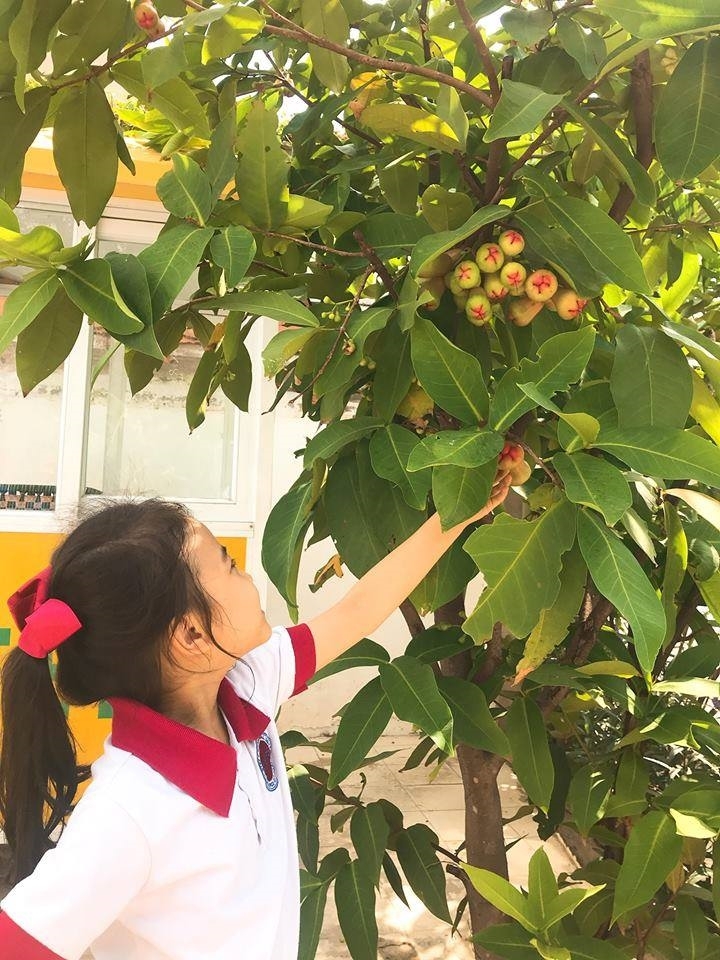 vuon cay cua be - steps special school